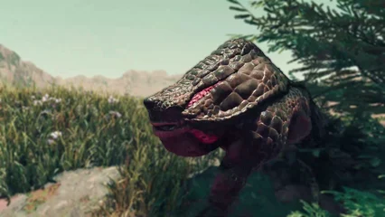 toadface-336.webp
