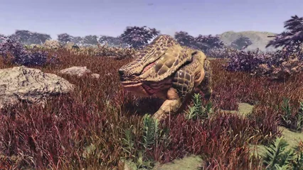 toadface-341.webp