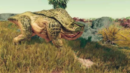 toadface-352.webp