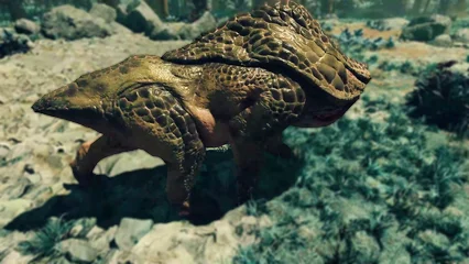 toadface-360.webp