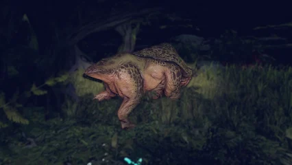 toadface-376.webp