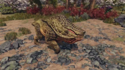 toadface-384.webp