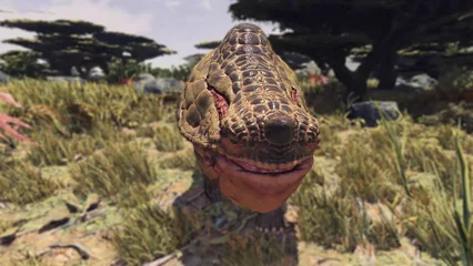 toadface-396.webp