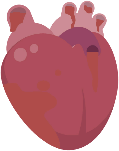 Heart