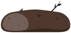 Bark bread
