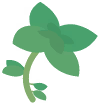 Herbs