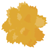 Kidney Stone