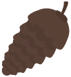 Pine nuts