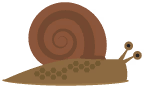 Snail