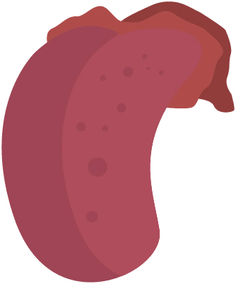 Tongue