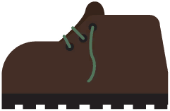 Shoe
